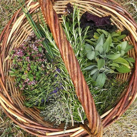 Crédit: La cabane à plantes