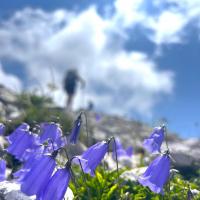 Voyage nature en Slovénie