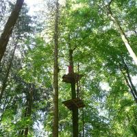 Après midi dans les arbres en Touraine