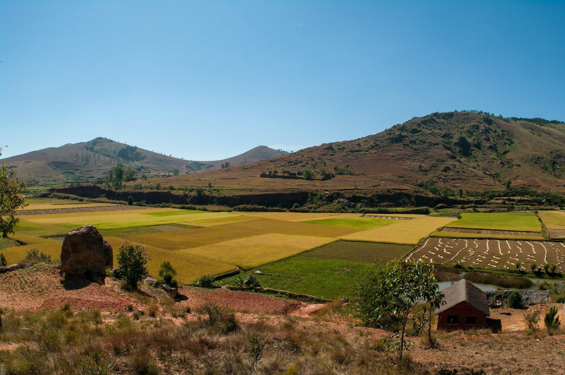 Voyage à Madagascar