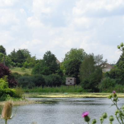 Excursion val de choisille - Val de loire écotourisme