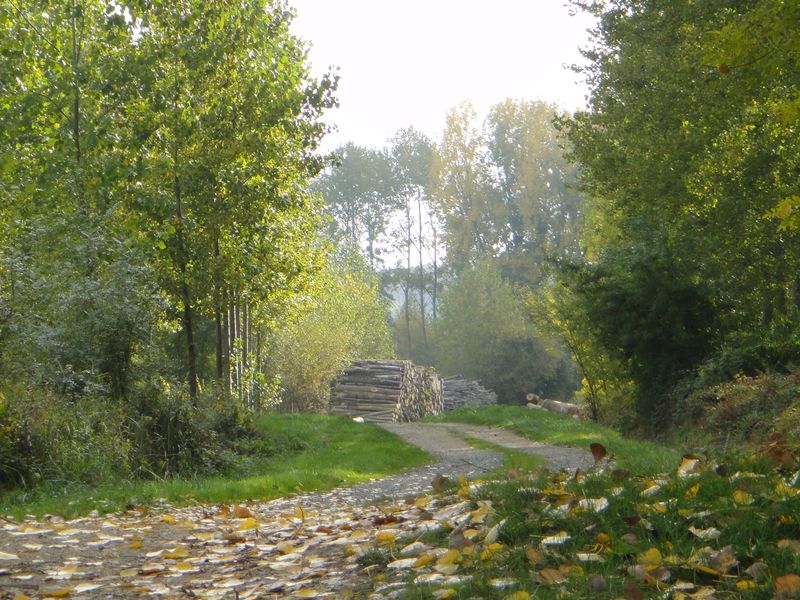 Séjour randonnée nature en touraine