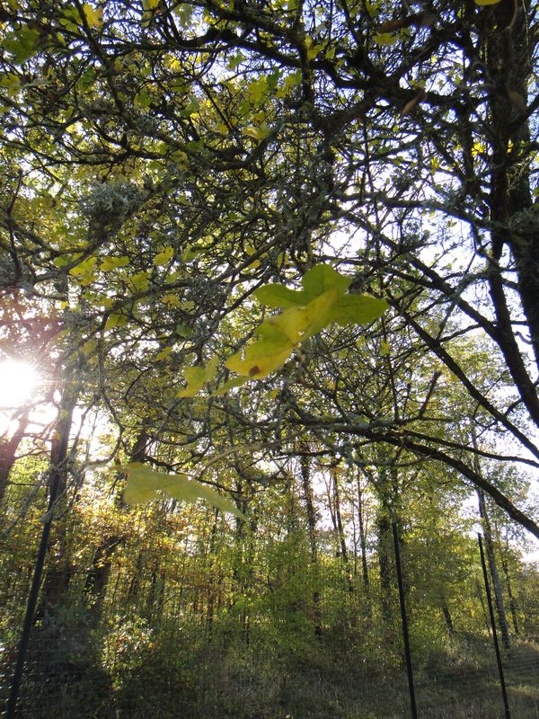 Val de Loire écotourisme