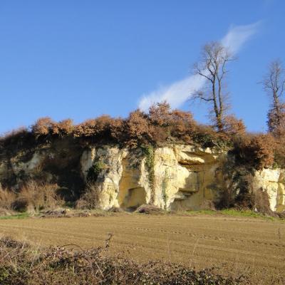 Formation géologie - turonien superieur