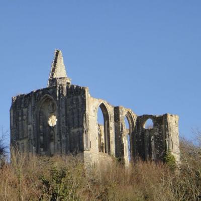 Excursion patrimoine oublié - Douceurs de ruines Val de loire écotourisme