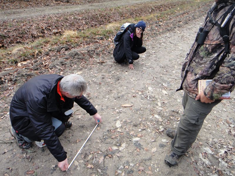 Formation faune sauvage en Touraine