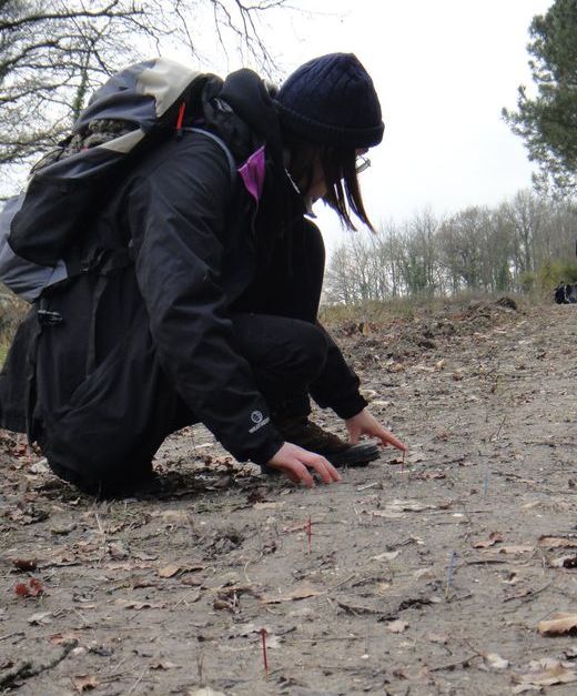 Formation faune sauvage en Touraine