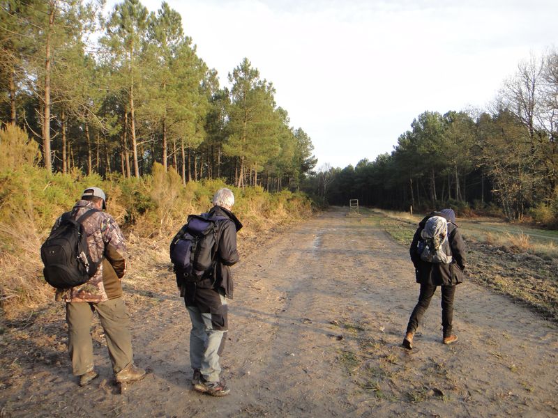 Formation faune sauvage en Touraine