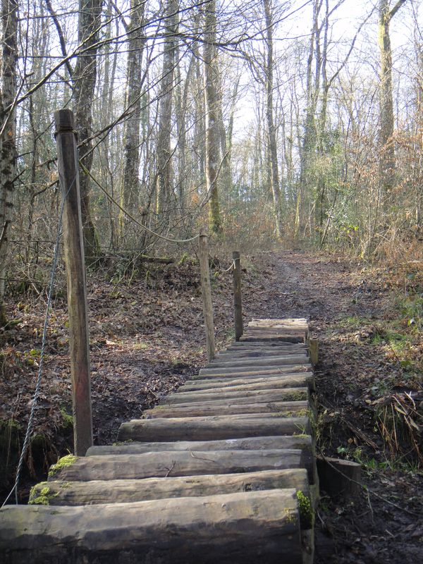 Séjour randonnée nature en touraine