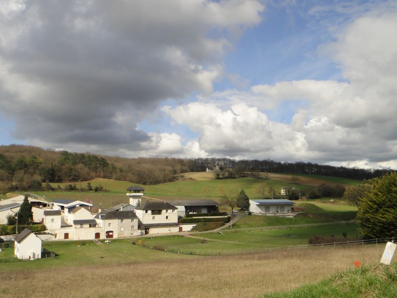 Formation paysages et géologie en Touraine