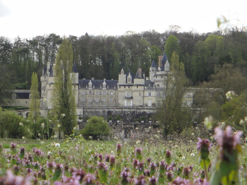 Excursion à vélo - Rigny Ussé Val de loire écotourisme