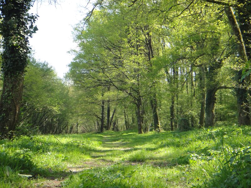 Bivouac en nature en Touraine