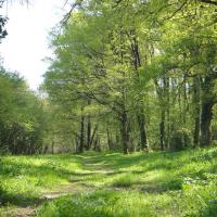 Bivouac en nature en Touraine