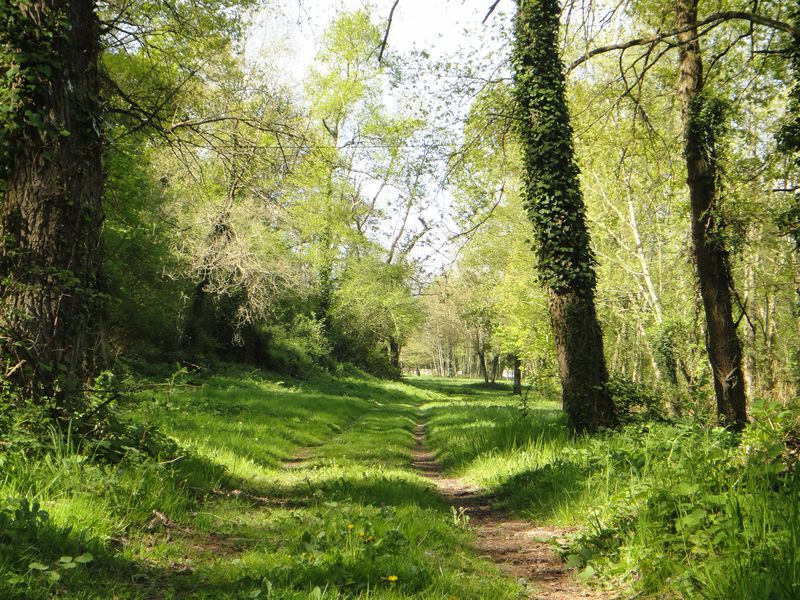 Bivouac en nature en Touraine