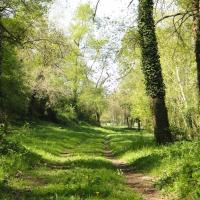 Bivouac en nature en Touraine