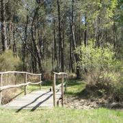 Forêt de Tours Preuilly - Excursion val de loire écotourisme