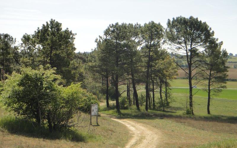 Puys du chinonais