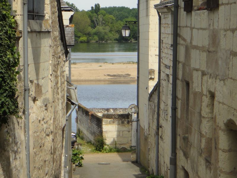 Balade nature a candes saint martin en Touraine