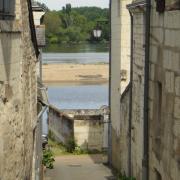 Balade nature a candes saint martin en Touraine