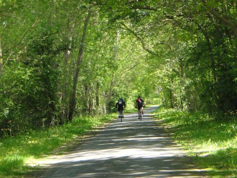 Week end à vélo à Chinon