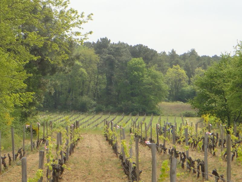 Séjour randonnée nature en touraine