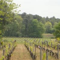 Séjour randonnée nature en touraine