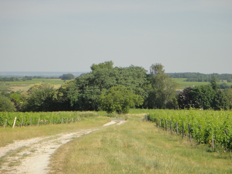 Week end à vélo à Chinon