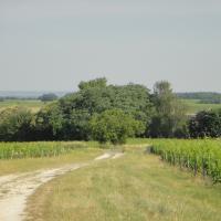 Séjour randonnée nature en touraine