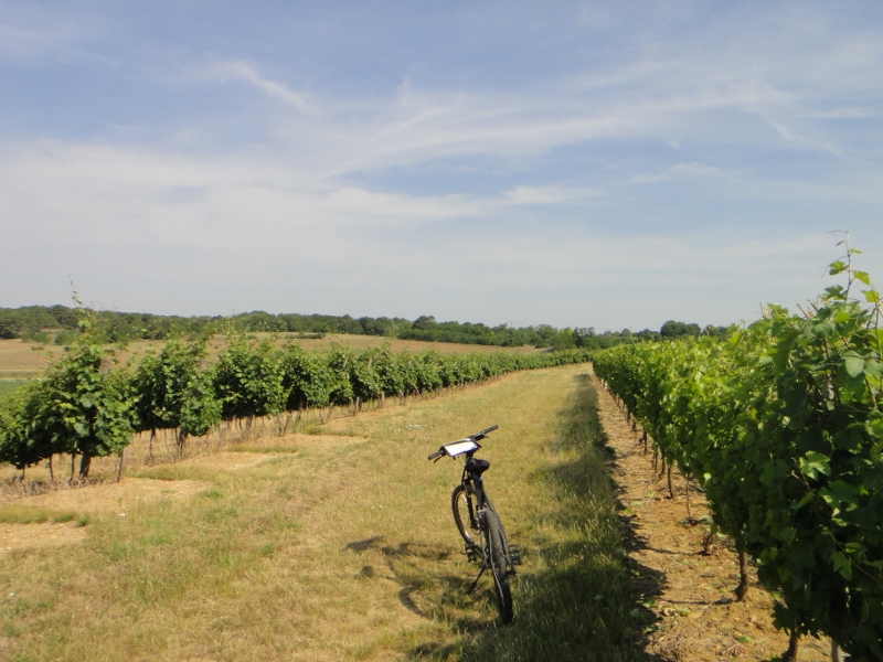 Week end à vélo à Chinon