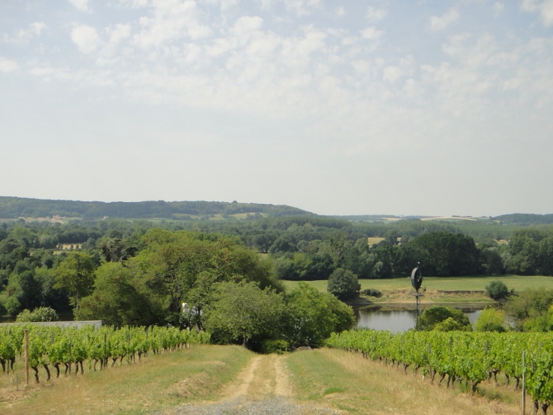 Excursion nature et vins - Chinon Val de loire écotourisme