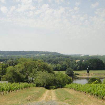 Excursion nature et vins - Chinon Val de loire écotourisme