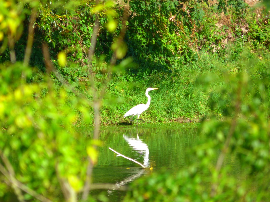 Séjour nature Loire à vélo