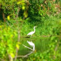 Week end Loire à vélo
