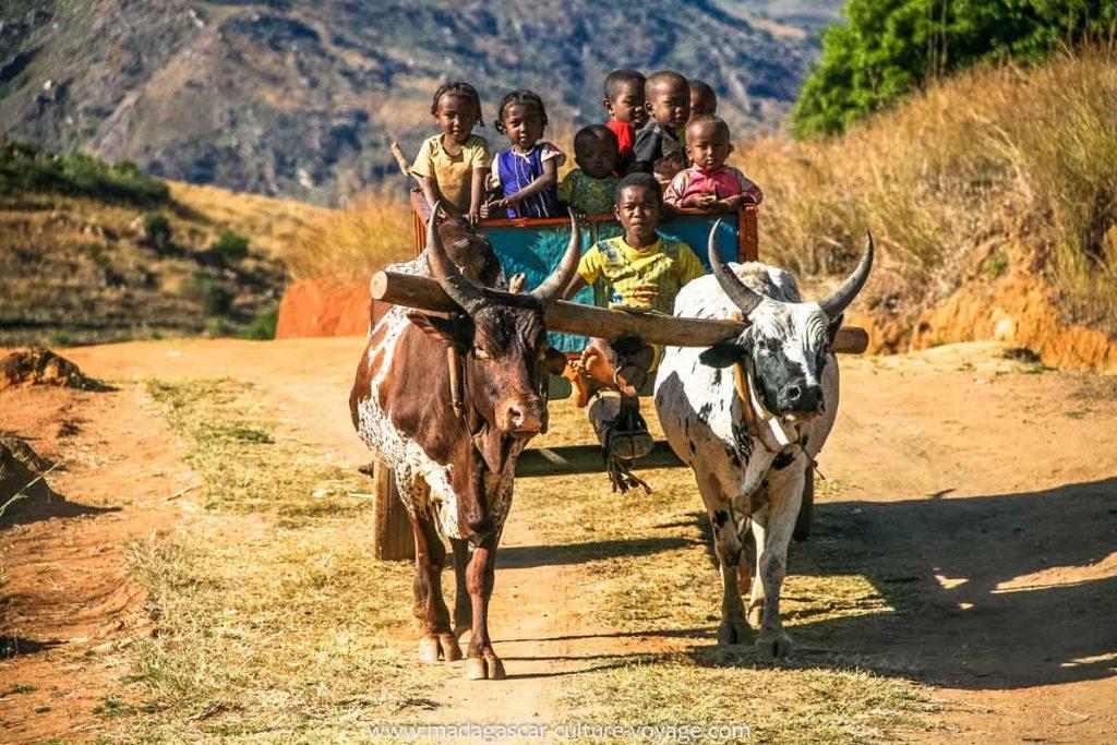 Voyage à Madagascar