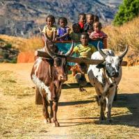 Voyage à Madagascar