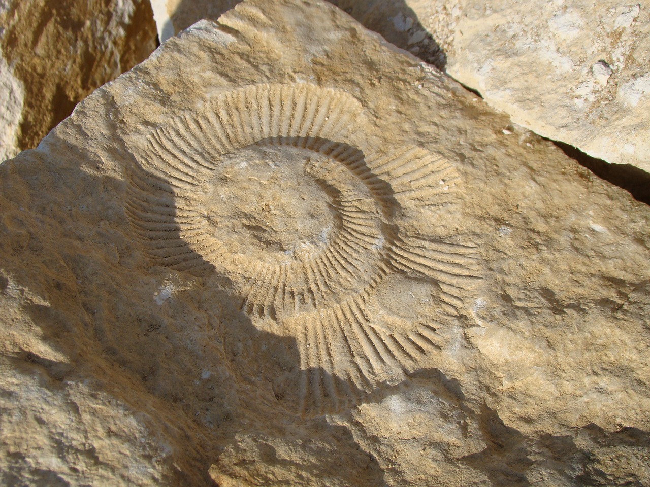 Formation paysages et géologie en Touraine