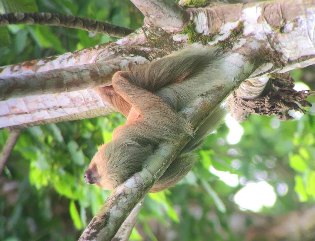 Séjour nature au Costa Rica