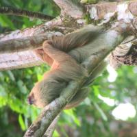 Séjour nature au Costa Rica