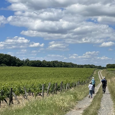 Rando nature vignes Montlouis