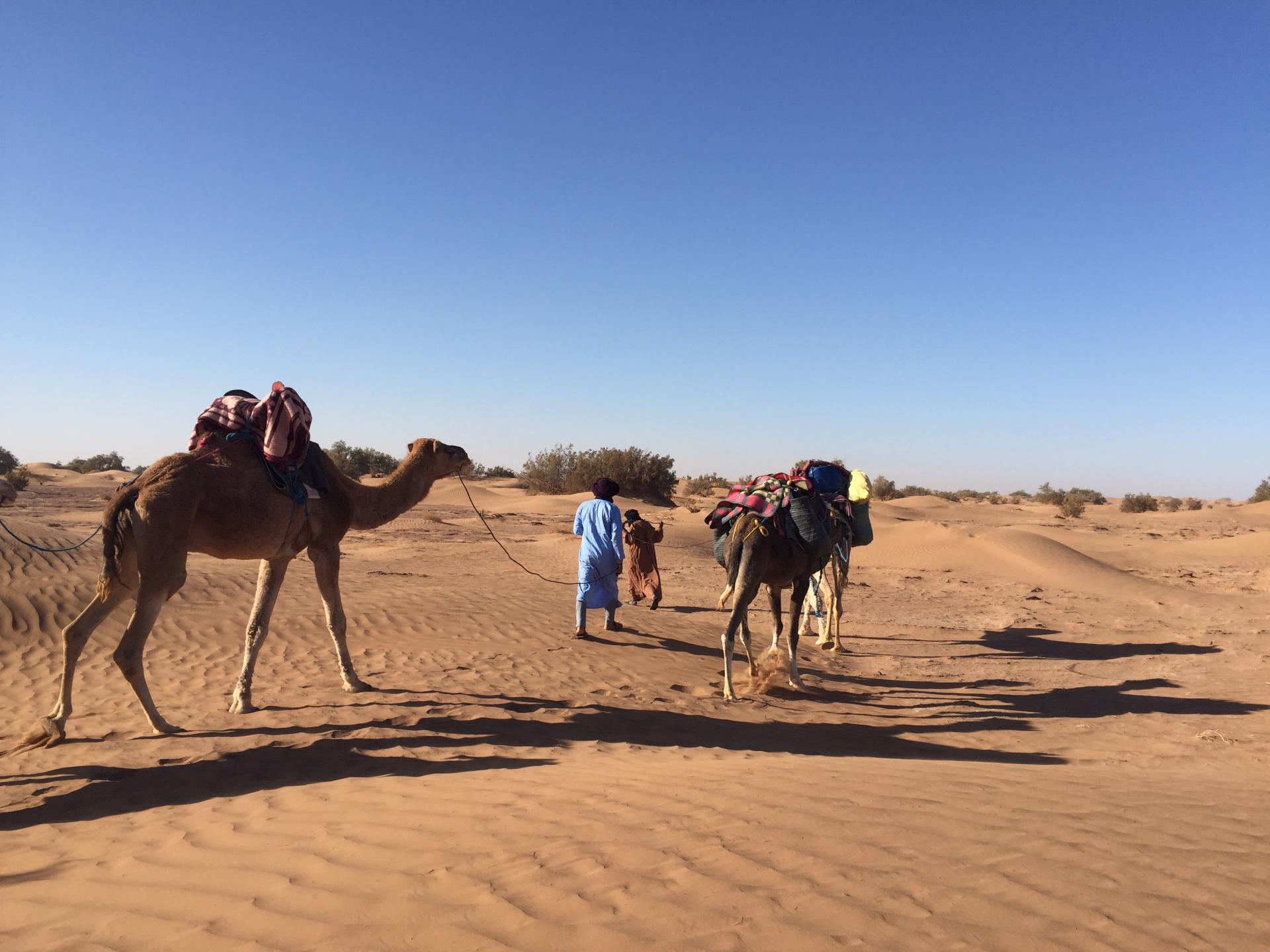 Voyage désert Maroc