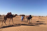 Voyage désert Maroc