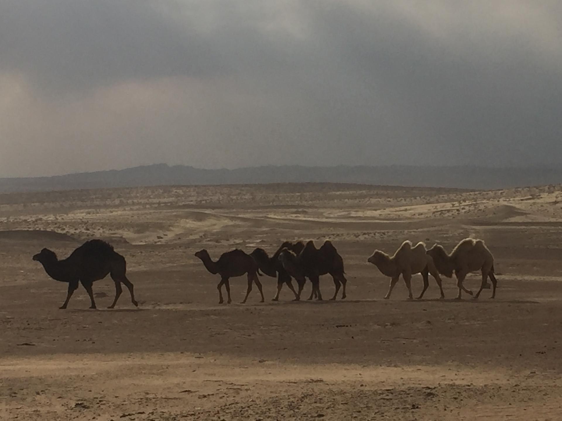 Voyage nature en Ouzbékistan