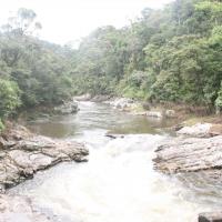 Voyage à Madagascar