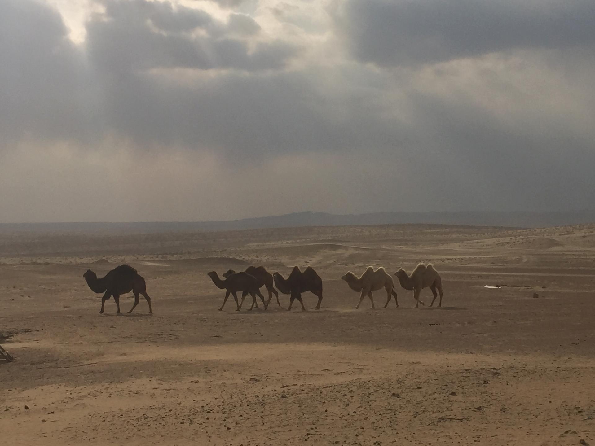 Voyage en Ouzbékistan