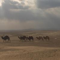 Voyage en Ouzbékistan