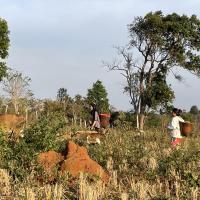 Voyage nature au Cambodge