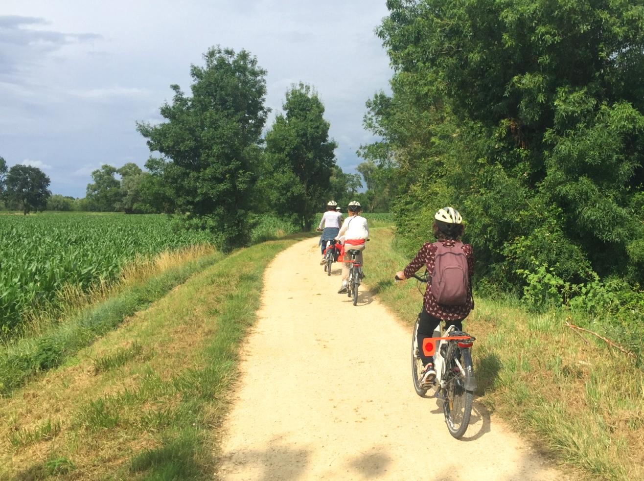 Sortie à vélo sur la Loire à vélo