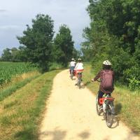Sortie à vélo sur la Loire à vélo