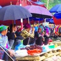 Séjour responsable au Vietnam