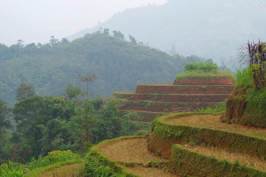 Séjour responsable au Vietnam